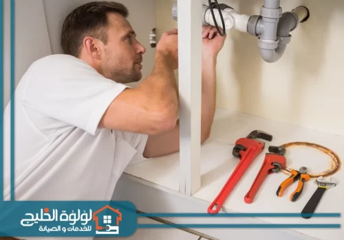 بايفيتر في دبي بايفيتر في دبي