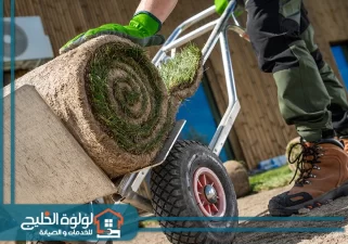 تركيب عشب صناعي في الشارقة