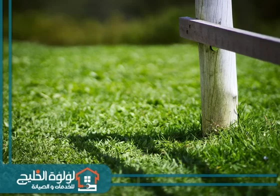 تركيب عشب صناعي في دبي