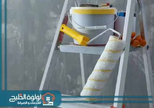 دهان في دبي دهان في دبي