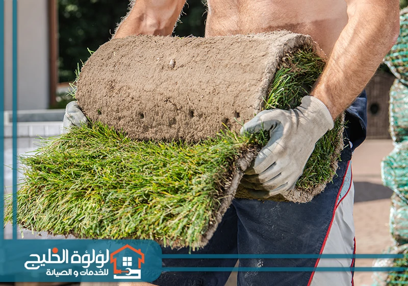 تركيب عشب صناعي في عجمان