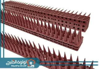 شركة مكافحة الحمام في رأس الخيمة