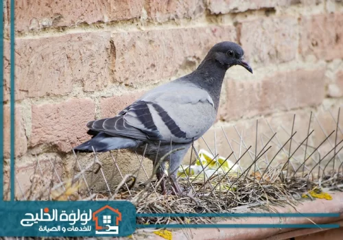 شركة تركيب طارد حمام في الشارقة شركة تركيب طارد حمام في الشارقة