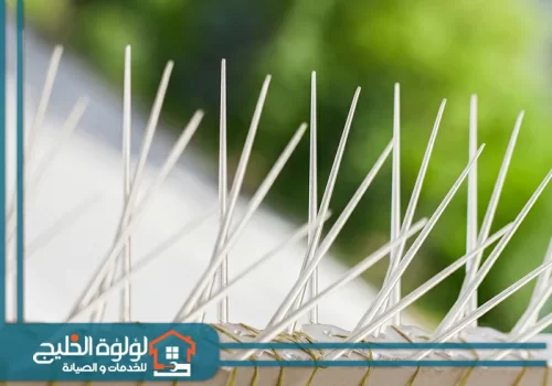 شركة تركيب طارد الحمام في أم القيوين شركة تركيب طارد الحمام في أم القيوين