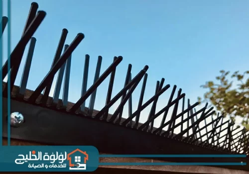 تركيب جهاز طرد الحمام واشواك بالشارقة تركيب جهاز طرد الحمام واشواك بالشارقة