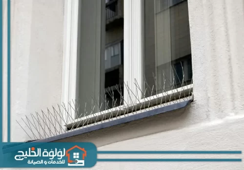 سيليكون طارد الحمام في رأس الخيمة سيليكون طارد الحمام في رأس الخيمة