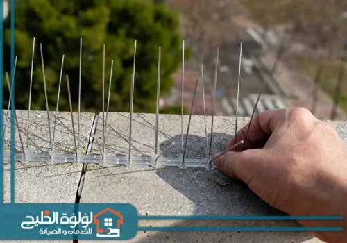 تركيب مانع الحمام والطيور في رأس الخيمة تركيب مانع الحمام والطيور في رأس الخيمة