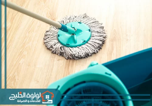 شركة تنظيف منازل في عجمان شركة تنظيف منازل في عجمان