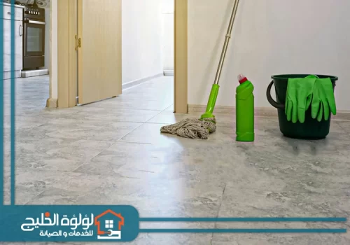 شركة تنظيف فلل بالشارقة شركة تنظيف فلل بالشارقة