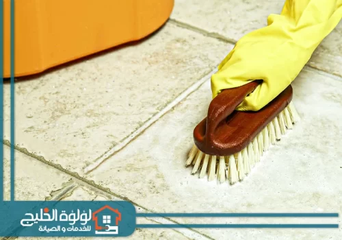 شركة تنظيف منازل 24 ساعة في الشارقة شركة تنظيف منازل 24 ساعة في الشارقة