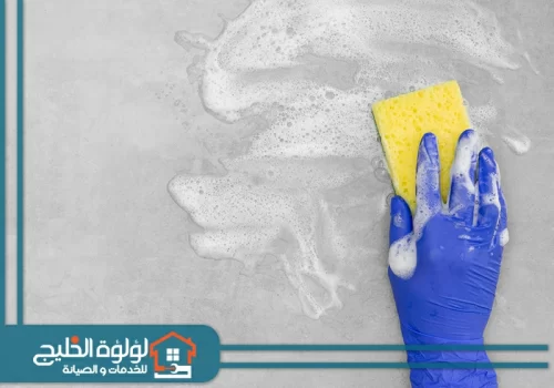 شركة تنظيف في عجمان عمالة فلبينية شركة تنظيف في عجمان عمالة فلبينية