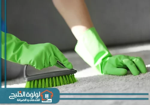 شركة تنظيف منازل في الشارقة عمالة فلبينية شركة تنظيف منازل في الشارقة عمالة فلبينية