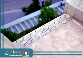 شركة مكافحة الحمام في العين