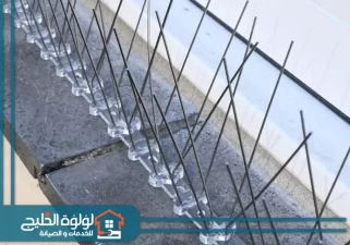 شركة مكافحة الحمام في ابوظبي