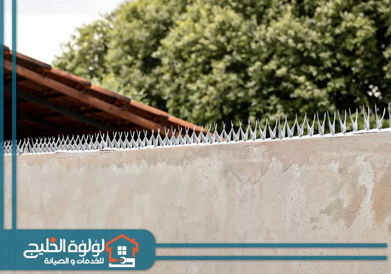 تركيب طارد حمام بالفجيرة 0588419951 لؤلؤة الخليج اشواك طرد حمام بالفجيرة تم تركيبها بواسطة فني لطرد الحمام من سطح المنزل