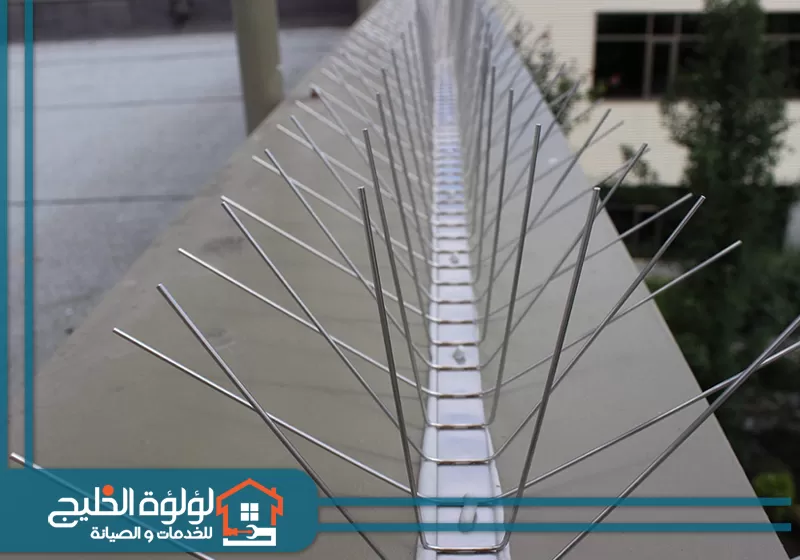 تركيب طارد حمام بابوظبي 0588419951 لؤلؤة الخليج تركيب طارد حمام بابوظبي على سور السطح بواسطة فنيين ماهرين