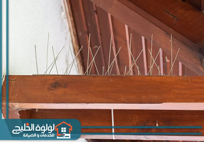 شوك طارد للحمام في الفجيرة 0588419951 لؤلؤة الخليج شوك طارد للحمام في الفجيرة تم تركيبه بواسطة فنيين شركة لؤلؤة الخليج