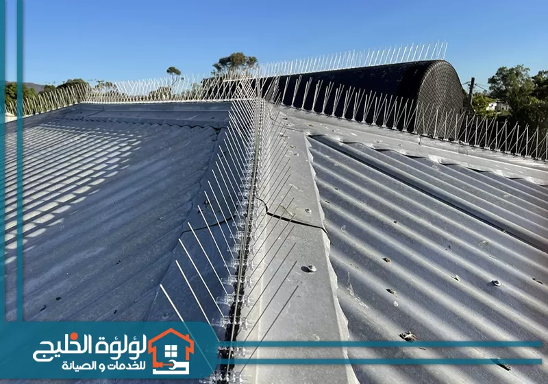 تركيب شرائح شوكية لطرد الحمام في ابوظبي 0588419951 لؤلؤة الخليج تركيب شرائح شوكية لطرد الحمام في ابوظبي على سطح المنزل لطرد الحمام