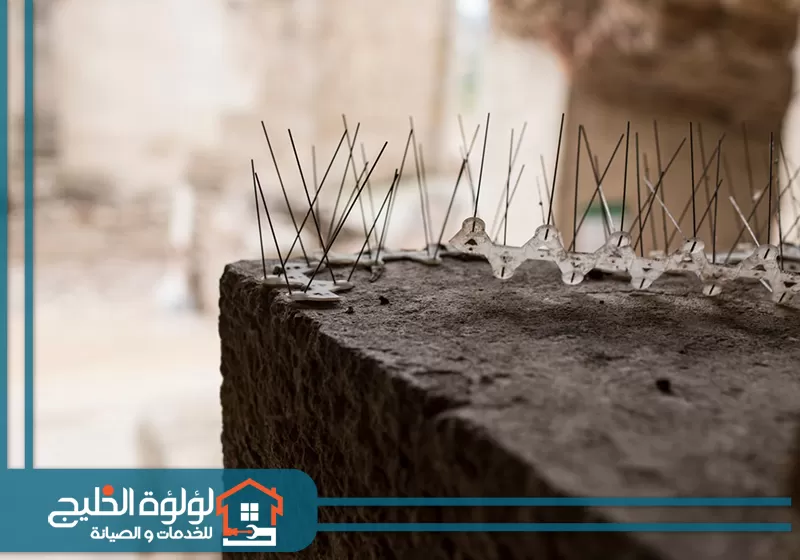 تركيب طارد الحمام من الشبابيك في الفجيرة 0588419951 لؤلؤة الخليج تركيب طارد الحمام على الشبابيك في الفجيرة