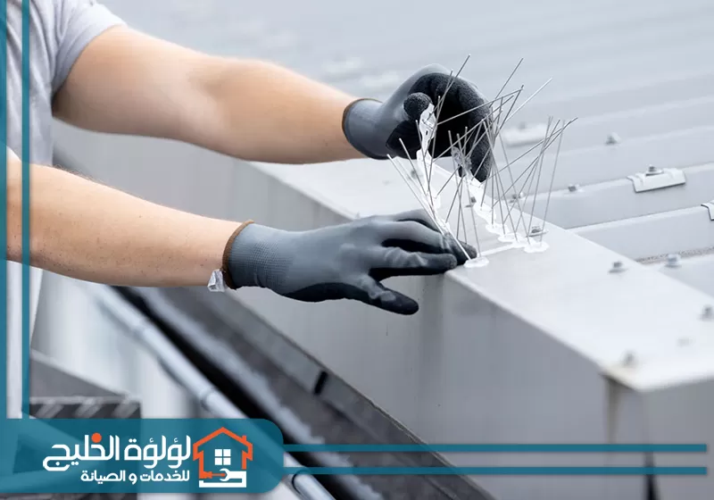 تركيب شوك طرد الحمام بالعين 0588419951 لؤلؤة الخليج فني شركة لؤلؤة الخليج يقوم بتركيب شوك طرد الحمام بالعين