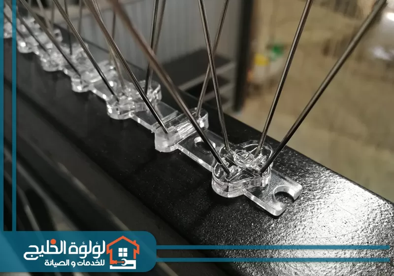 مكافحة الحمام والطيور في ابوظبي 0588419951 لؤلؤة الخليج فني مكافحة الحمام والطيور في ابوظبي من شركة لؤلؤة الخليج