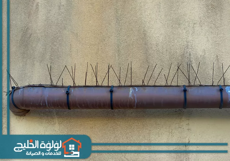 اشواك طرد حمام في الفجيرة 0588419951 لؤلؤة الخليج اشواك طرد حمام في الفجيرة يتم تركيبها على انابيب المياه لمنع الحمام من الوقوف عليها وتخريبها