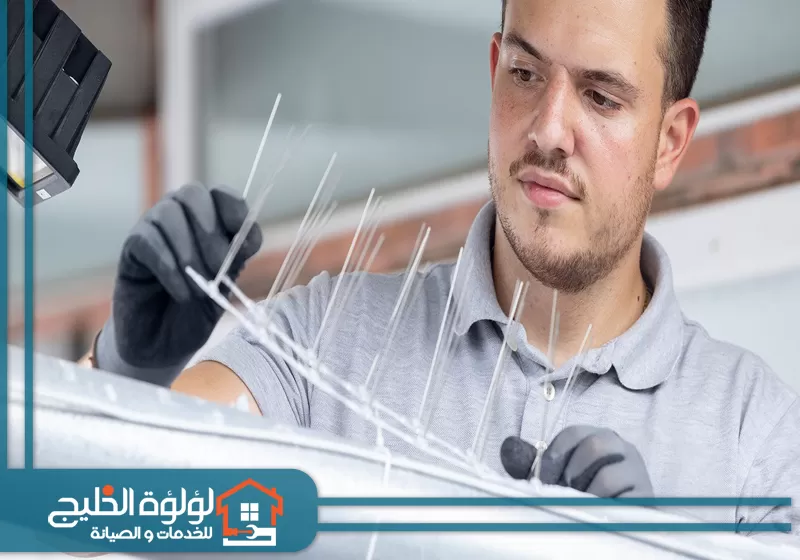 فني مكافحة حمام في العين 0588419951 لؤلؤة الخليج فني مكافحة حمام في العين يقوم بتركيب اشواك وشبك طرد الحمام