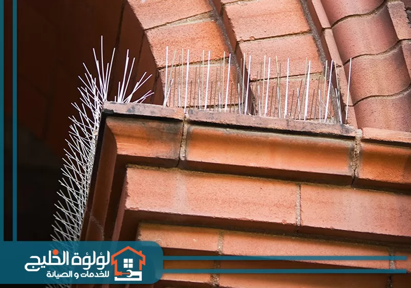 تركيب شوك طارد الحمام في ابوظبي 0588419951 لؤلؤة الخليج فني شركة لؤلؤة الخليج يقوم بتركيب شوك طارد الحمام في ابوظبي