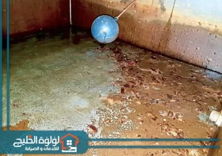 شركة تنظيف خزانات في العين